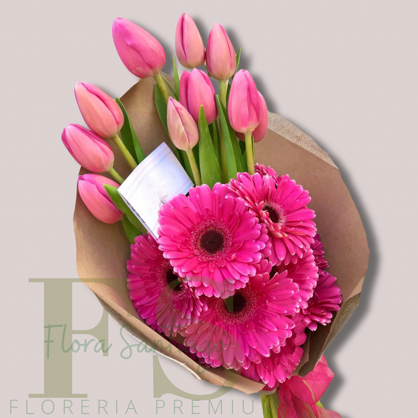 Ramo de 10 tulipanes y 6 gerberas.