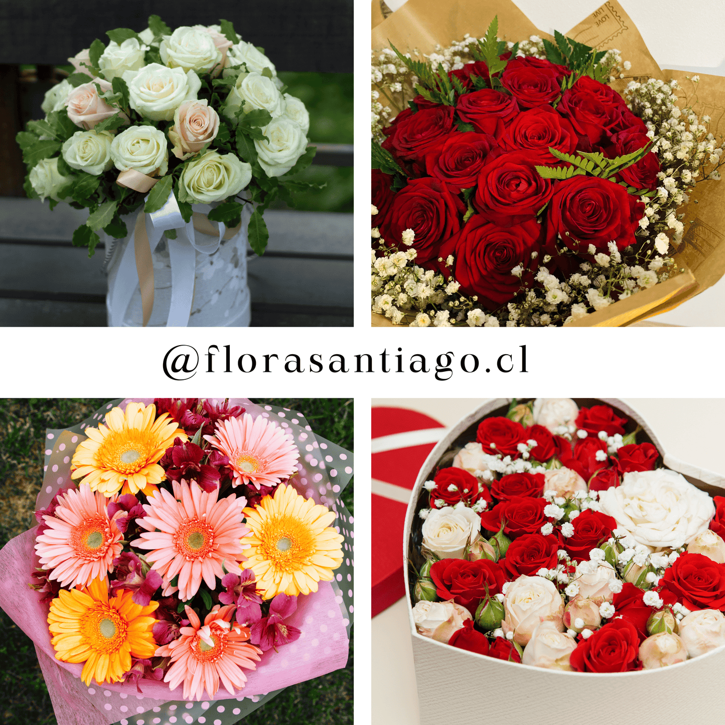 Floreria Online y envía flores a domicilio detalles que  sorprende