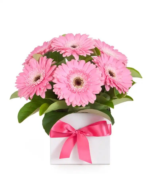 BOX DE 10 GERBERAS RODADAS