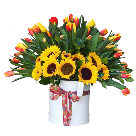 BOX PAVO REAL DE 30 TULIPANES Y GIRASOLES