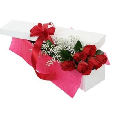 ROMANTICA CAJA DE 6 ROSAS Y GYPSOPHILIA