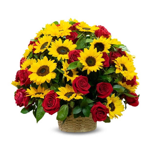 CANASTO DE 20 GIRASOLES – 30 ROSAS IMPORTADAS