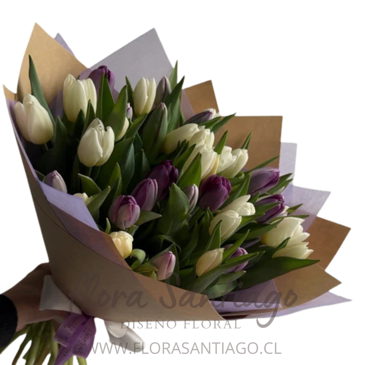 Ramo de 20 Tulipanes