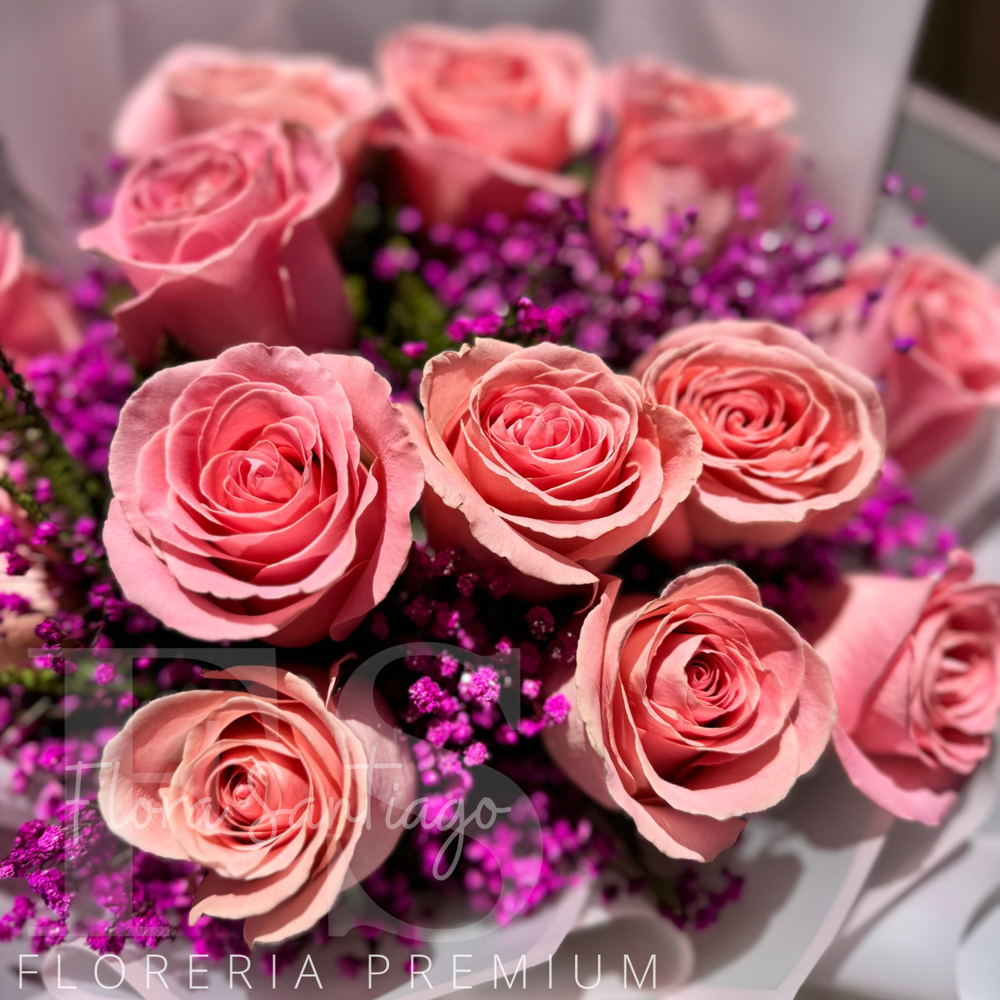 Ramo de 12 rosas rosadas y gypsophila lila con envoltura coreana perfecto para regalo envía flores a domicilio
