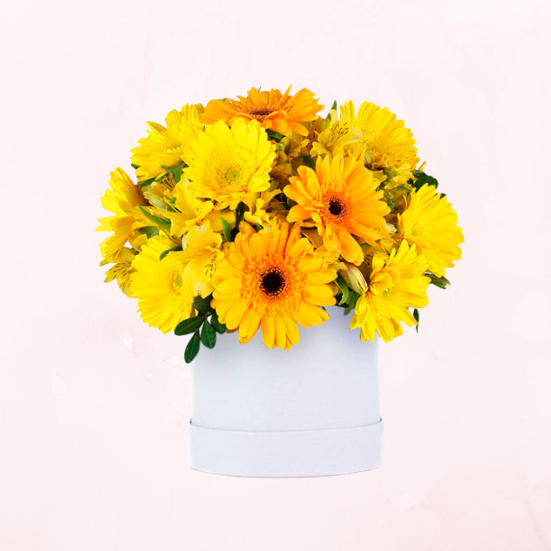 Box de 10 Gerberas y alstromeria