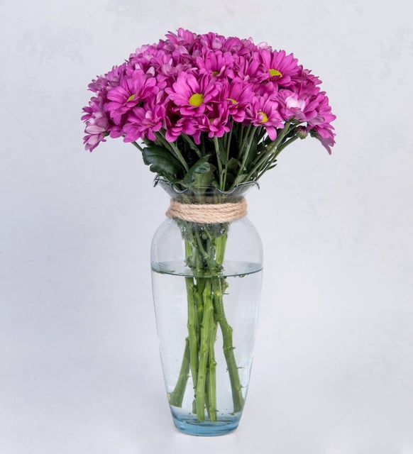 FLORERO CON 10 VARAS DE MARGARITAS LILA
