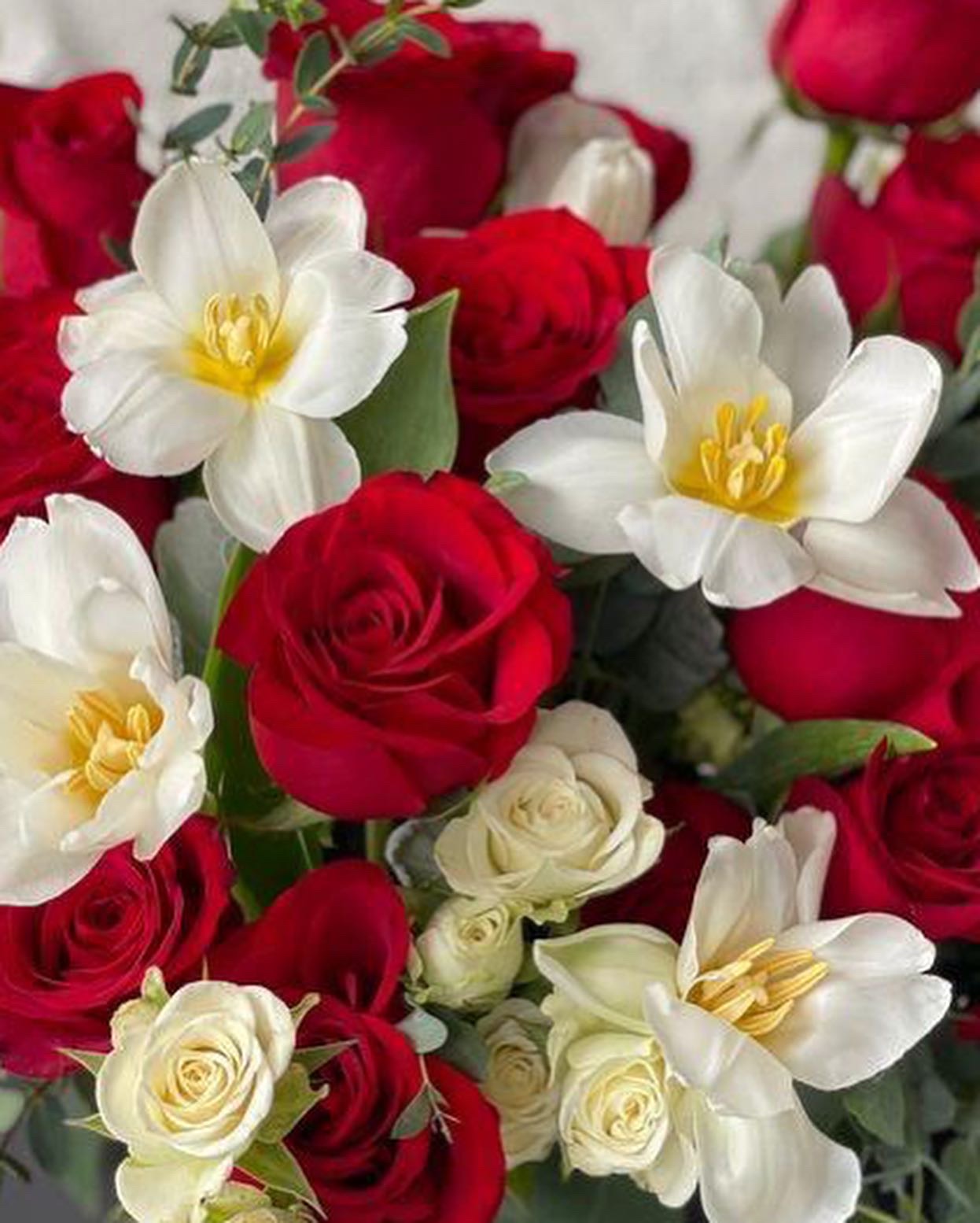 box con 15 rosas y 10 tulipanes blancos