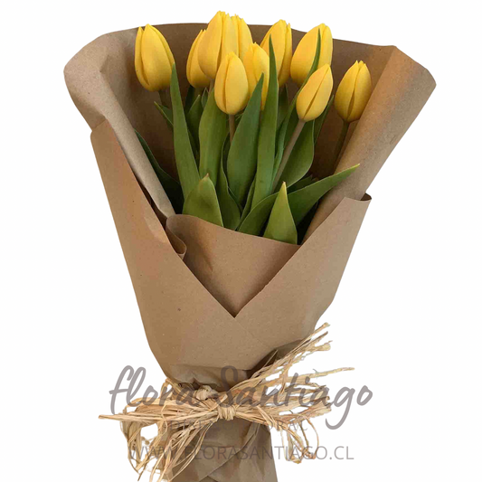 Ramo de 10 Tulipanes amarillos