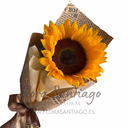 1 girasol
