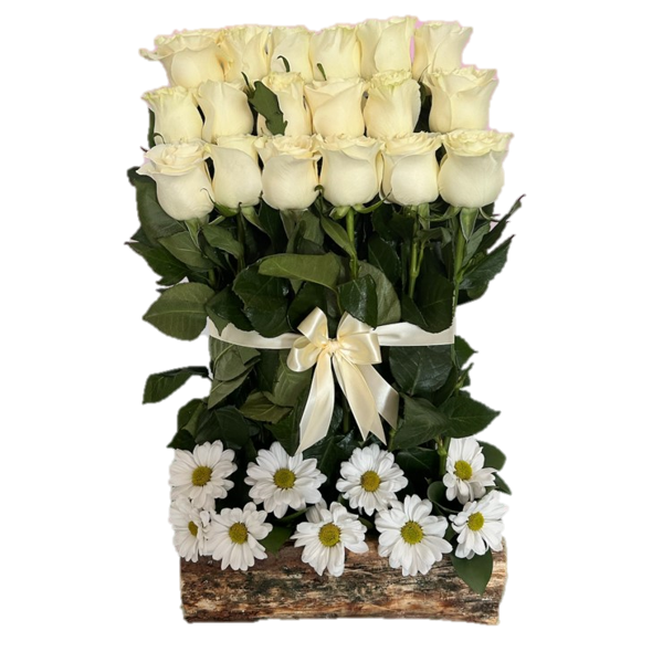 18 ROSAS IMPORTADAS EN ESCALA