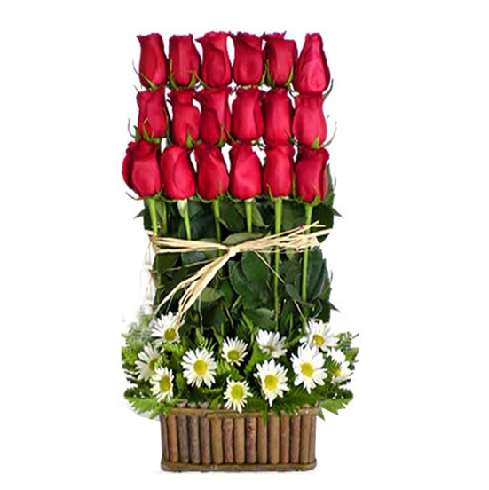 18 ROSAS ROJAS EN ESCALA