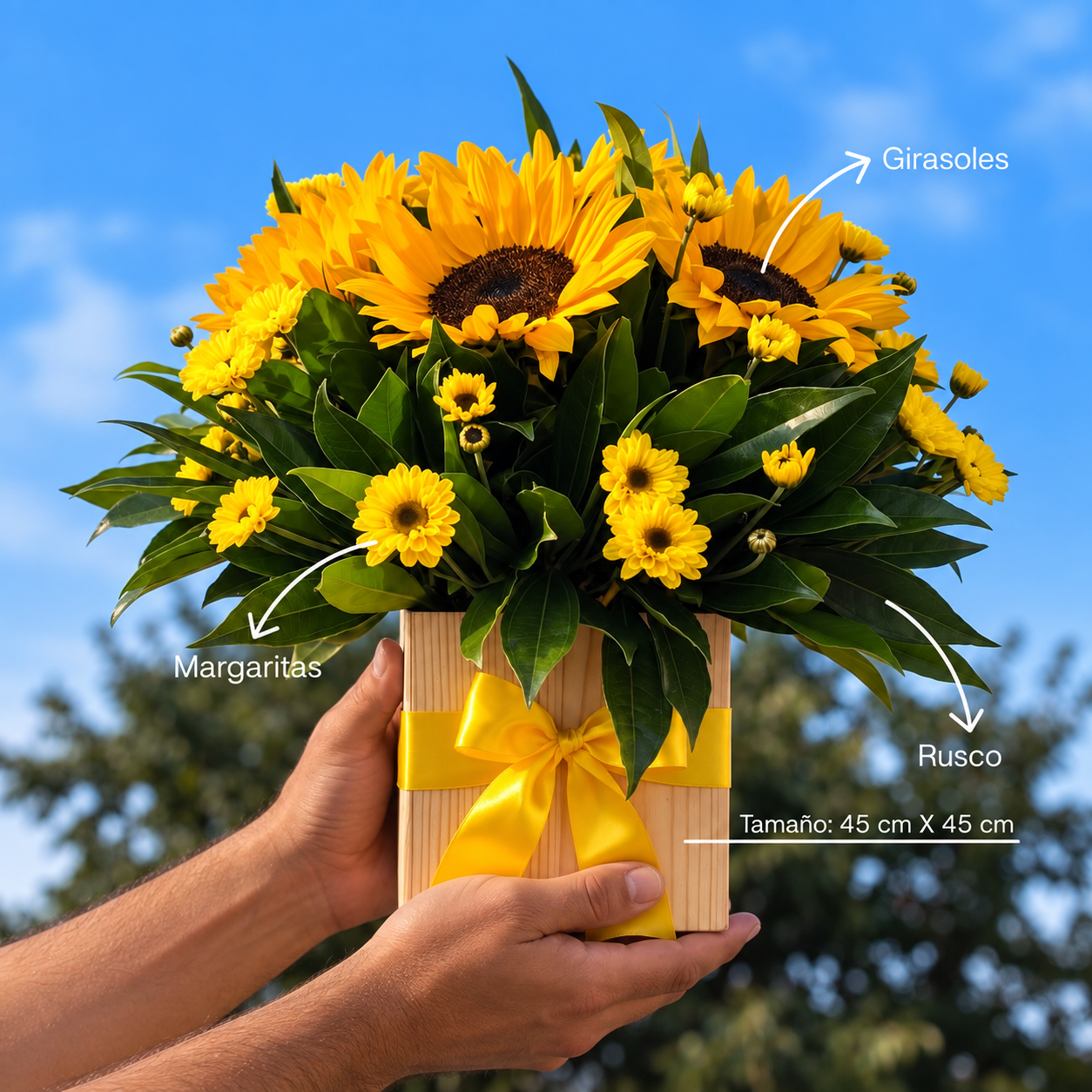 Box de 5 girasoles y margaritas amarillas