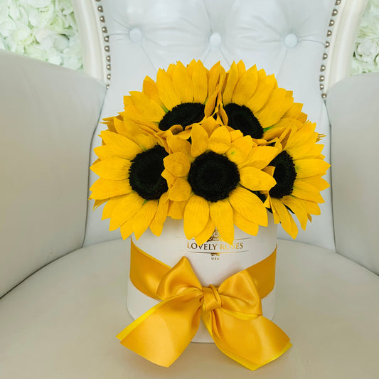 BOX DE 6 GIRASOLES CON LAZO DE SEDA