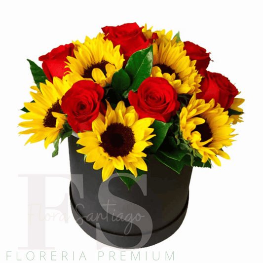 Box de 8 rosa roja y 6 girasoles perfecto para regalar en cualquier ocasión