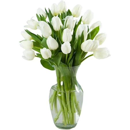 FLORERO DE 20 TULIPANES BLANCOS