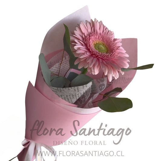 1 gerbera rosada