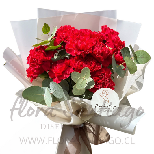 Ramo de claveles rojos
