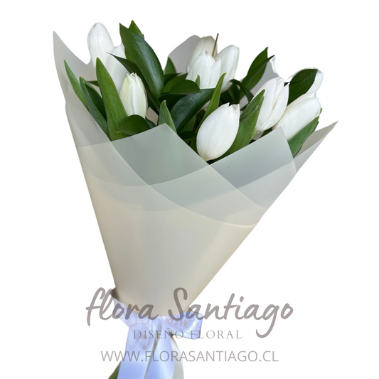 10 Tulipanes blancos envueltos para regalo