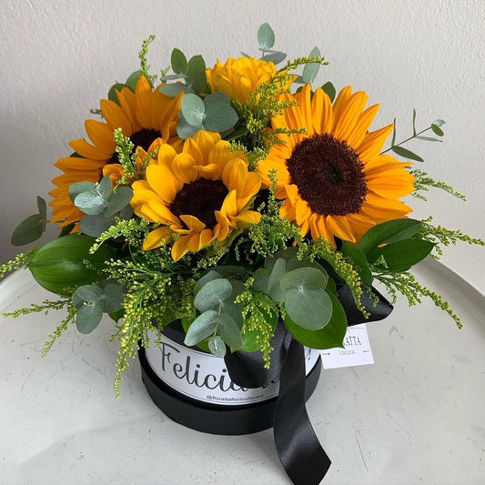 Box con 6 girasoles