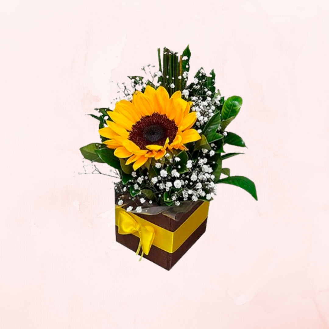 Box de 1 Girasol con gypsophila