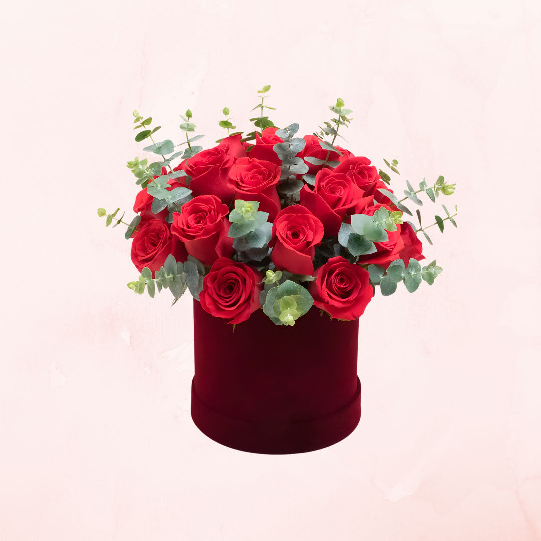 Box de 20 rosas rojas