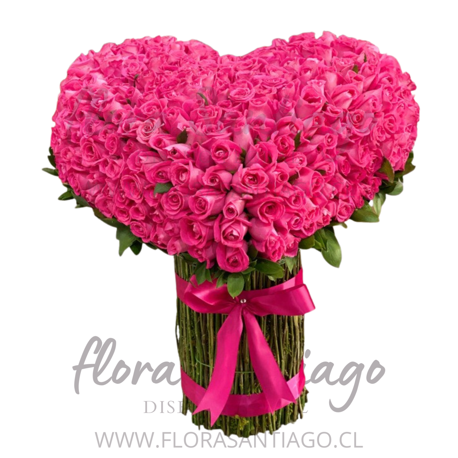 Arreglo corazón de 100 Rosas fucsia – Flores a domicilio