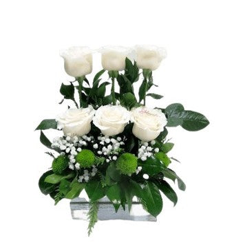 ARRIMO DE CONDOLENCIA