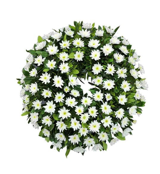 CORONA DE MAULE OFERTA