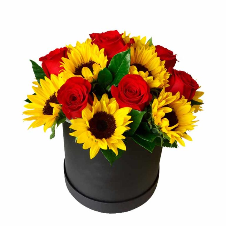 BOX DE 6 ROSAS Y 6 GIRASOLES