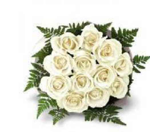 Ramo de 12 Rosas Blancas
