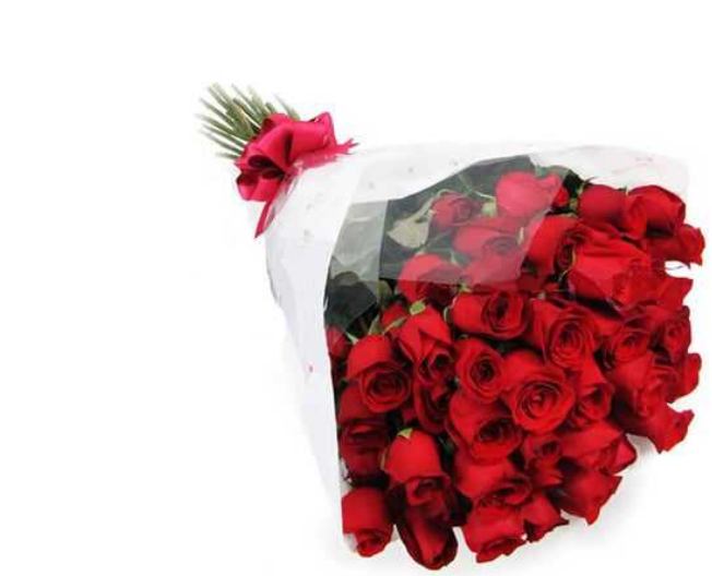Ramo de 25 Rosas Rojas – Flores a domicilio