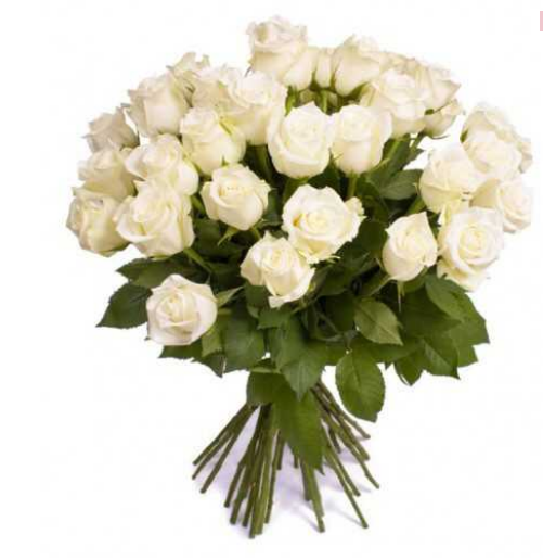 Ramo de 24 Rosas Blancas
