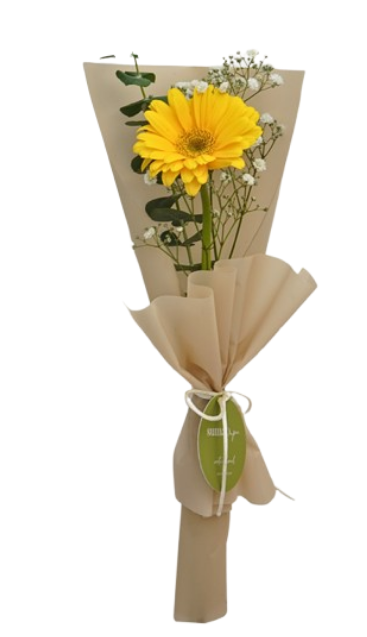 Gervbera envuelta para regalo