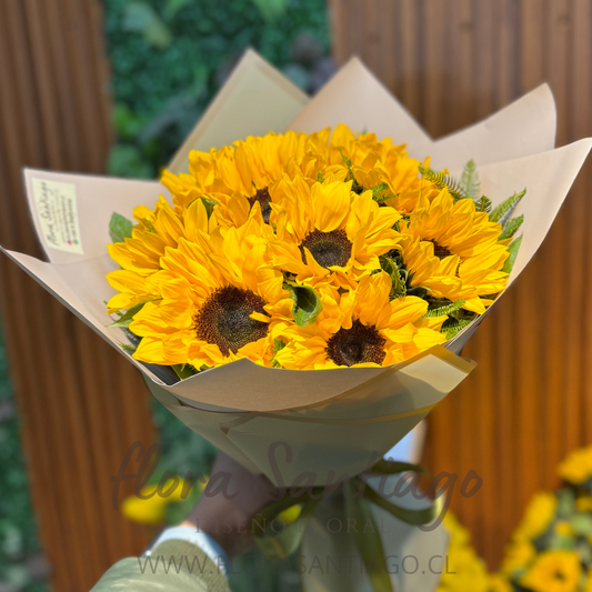 Ramo de 10 girasoles envueltos para regalo
