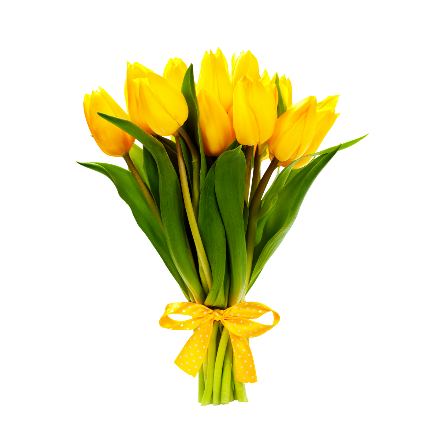 RAMO DE TULIPANES