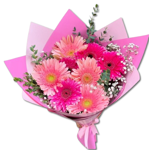 Ramo de 6 gerberas rodadoras