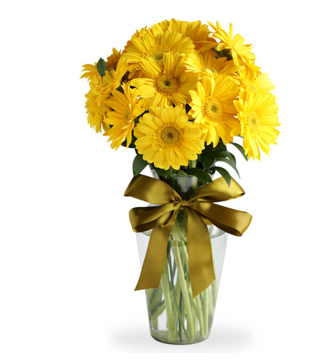 FLORERO DE 10 GERBERAS AMARILLAS