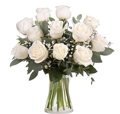 HERMOSO FLORERO CON 12 ROSAS IMPORTADAS