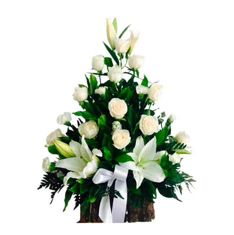 ARRIMO DE 11 ROSAS LILIUM Y ELEGANTE LAZO