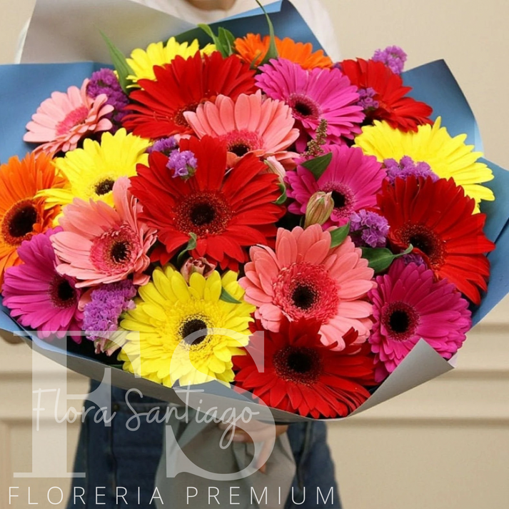 Ramo de 20 gerberas – Flores a domicilio