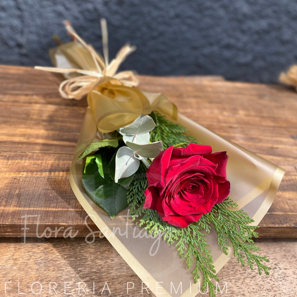 1 rosas envuelta – Flores a domicilio
