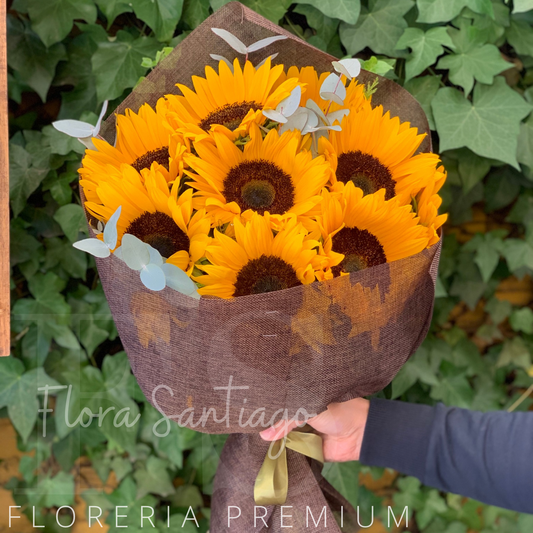 Ramo con 10 girasoles
