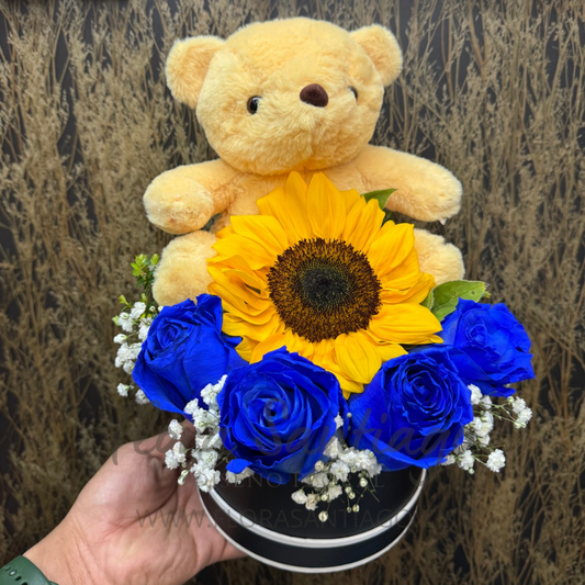 Box de 4 rosas azules, oso de peluche y 1 girasol