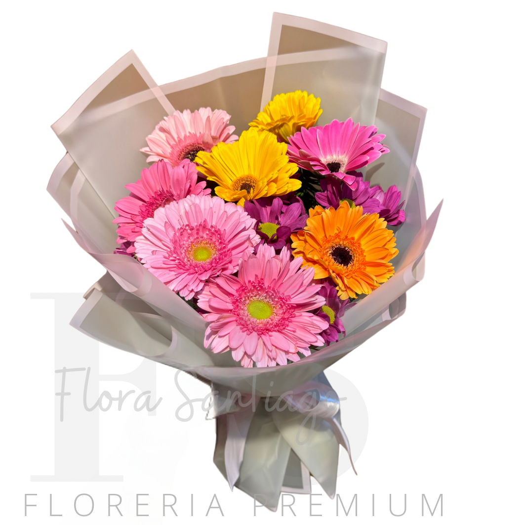 Ramo de 8 gerberas de colores surtido