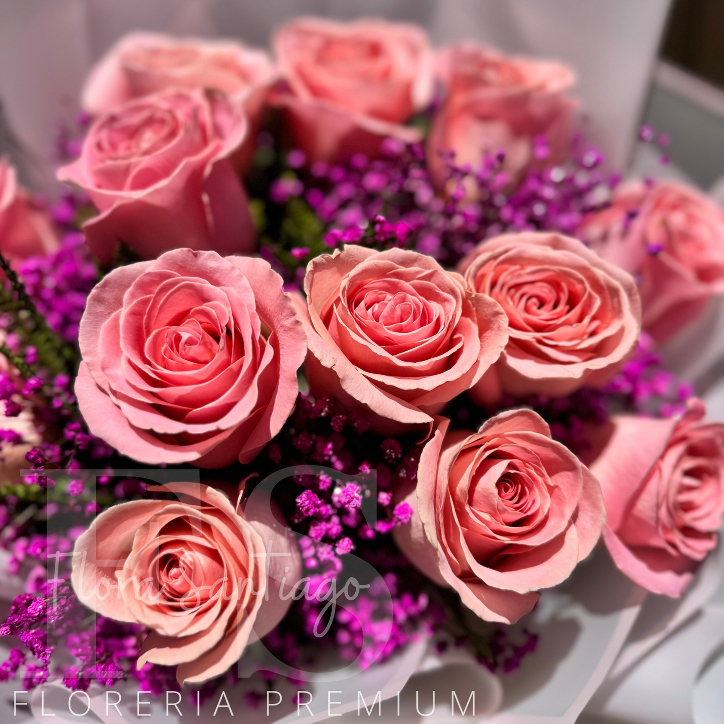 Ramo con 12 rosas rosadas y gypsophila lila con envoltura coreana perfecto para regalo envía flores a domicilio