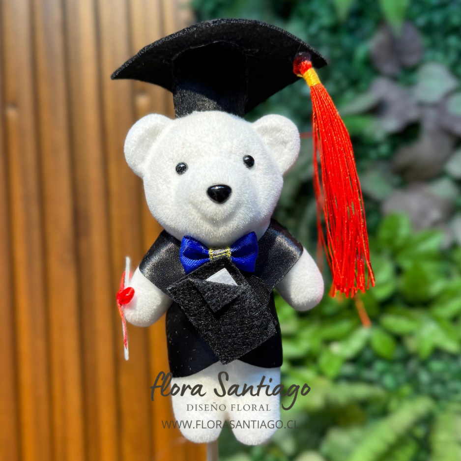 Peluche de graduación