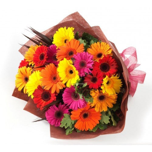 Ramo de 15 gerberas de colores