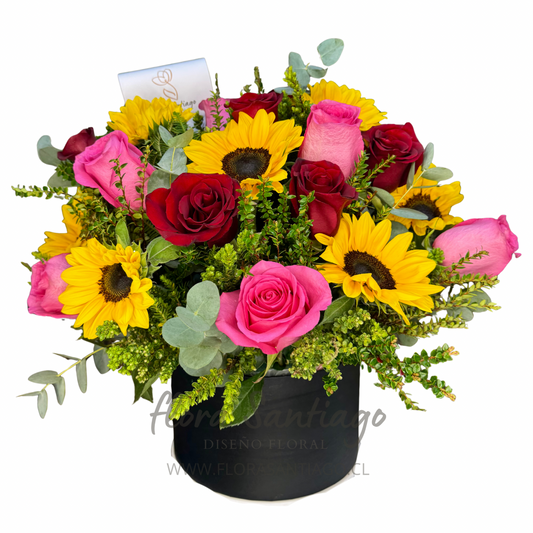 Arreglo Box grande con rosas rojas, fucsia y girasoles con toques de verdes