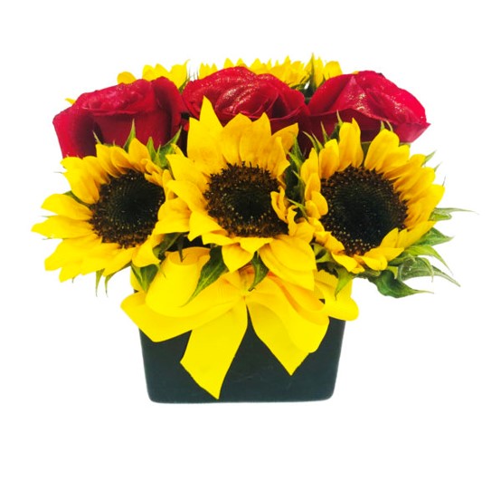 MINI BOX 6 GIRASOLES 3 ROSAS