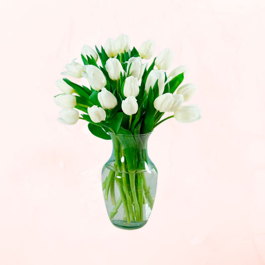 Florero de 20 Tulipanes Blancos